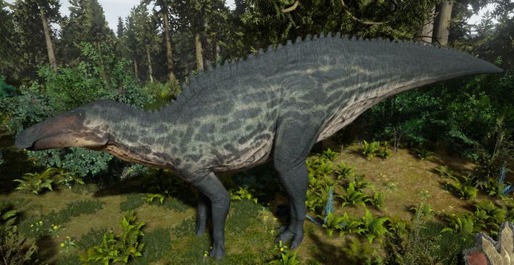 Kentrosaurus, The Isle Wiki, Fandom