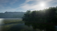 A preview of the upcoming swamp biome for Isla Spero