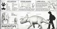 Avaceratops dossier