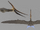 Blue Foot Quetzalcoatlus The Isle.png