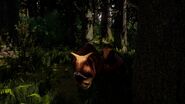 Carnotaurus in the shadows
