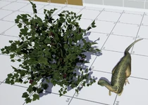 medium Bush, gives 216 food