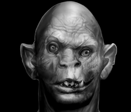 Tribal close-up