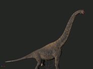 Original Brachiosaurus model by Jake Bardse.