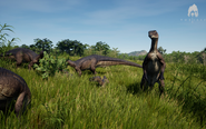 A Tenontosaurus herd