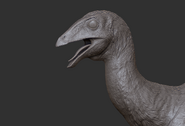 Juvenile Therizinosaurus head