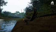 Isle hypsi by river.png (1.25 MB) Hypsilophodon by the river