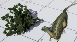 small Bush, gives 54 food