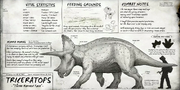 Triceratops Dossier