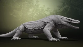 Megalania model