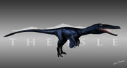 Austroraptor Black