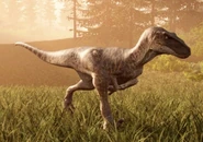 An Omniraptor trotting