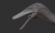 Juvenile Austroraptor head