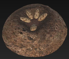Nest with eggs