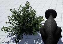 big Bush, gives 540 food