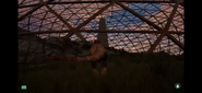 Entering the Dome.
