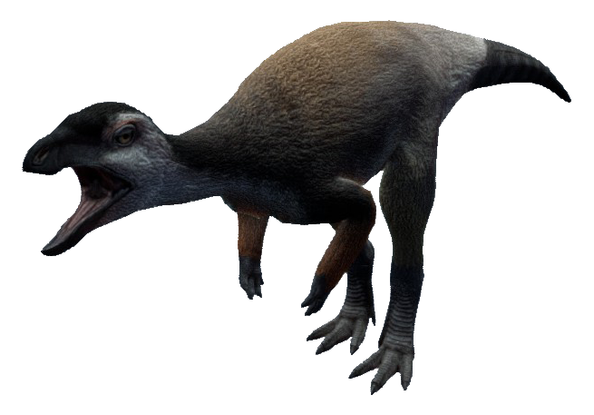 Kentrosaurus, The Isle Wiki, Fandom