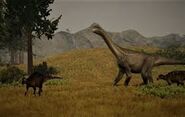 Two Maiasaura with an Camarasaurus.