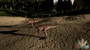 A flock of Gallimimus