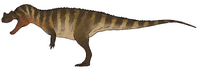 A Free Choice Ceratosaurus.