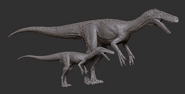 Juvenile Herrerasaurus