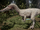 Albino Baryonyx The Isle.png