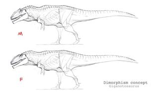 Giganotosaurus dimorphism Concept