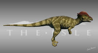 Aracea Pachycephalosaurus