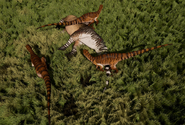 Utahraptors with their new kill, a Maiasaura