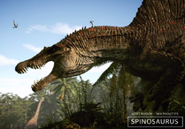 New spino / Hope trailer