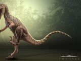 Omniraptor