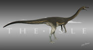 Old Pyrite Gallimimus