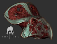 Protoceratops skull with flesh.jpg (108 KB) Protoceratops skull model