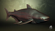 Catfish model by Baardo