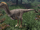 Austroraptor The Isle.png