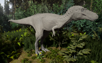 A Albino Tyrannosaurus Rex (Juvenile).