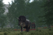 Two Triceratops in a forest.