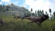 A Velociraptor chasing a wounded "Psittacosaurus"