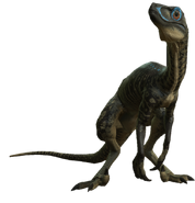 A lone Troodon