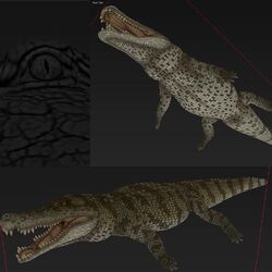 An Ultimate Guide to Deinosuchus: The Terrible Crocodile