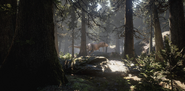 A Tyrannosaurus walking in the forest.