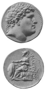 Philetaerus.jpg