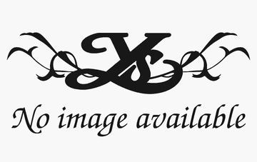 Forest of Spores | Ys Wiki | Fandom