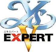 Expert version logo