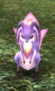Caroorooca