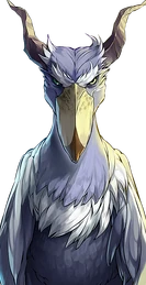 Shoebill