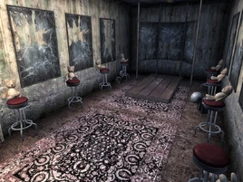 Coming Out of Her Shell