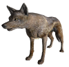 CoyoteFNV.png