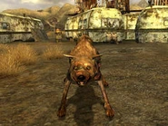 FNV Violetta.jpg (19 KB) Violetta