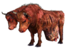 Brahmin FO3.png